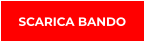 SCARICA BANDO